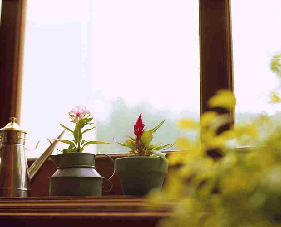 Interiors 1 - Hakata Good Pro ></a>
<script language=JavaScript> 
  var txt = 