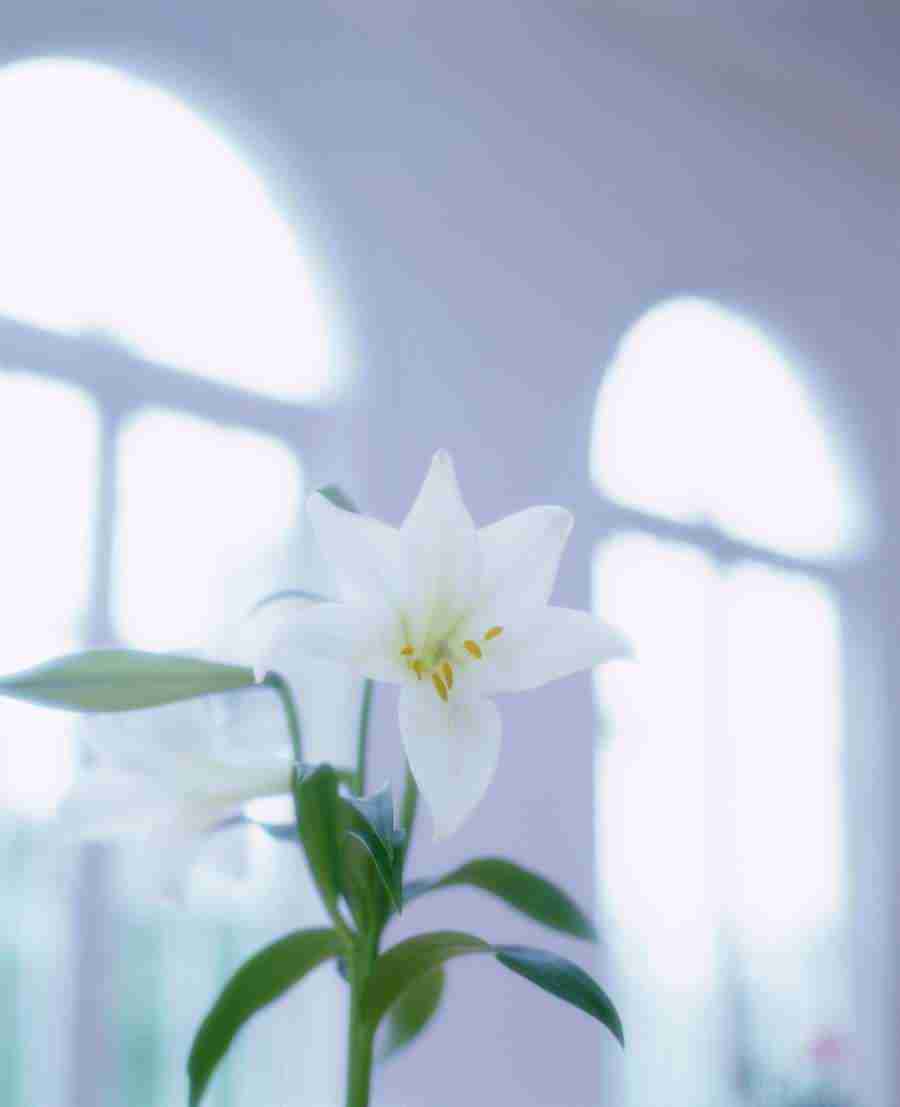 Interiors 1 - Hakata Good Pro ></a>
<script language=JavaScript> 
  var txt = 