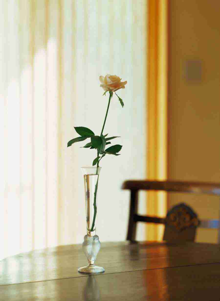 Interiors 1 - Hakata Good Pro ></a>
<script language=JavaScript> 
  var txt = 