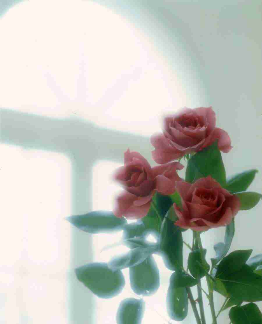 Interiors 1 - Hakata Good Pro ></a>
<script language=JavaScript> 
  var txt = 