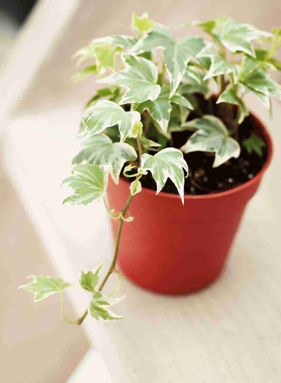 Interiors 6 - Hakata Good Pro ></a>
<script language=JavaScript> 
  var txt = 