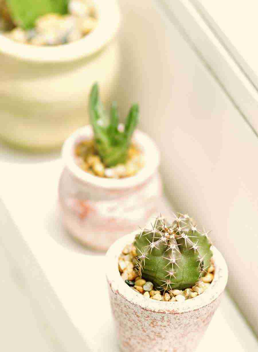 Interiors 6 - Hakata Good Pro ></a>
<script language=JavaScript> 
  var txt = 