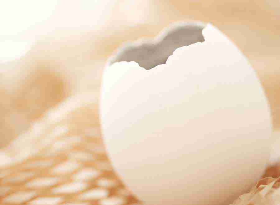 Interiors 6 - Hakata Good Pro ></a>
<script language=JavaScript> 
  var txt = 