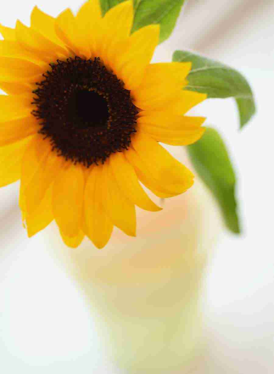 Interiors 6 - Hakata Good Pro ></a>
<script language=JavaScript> 
  var txt = 