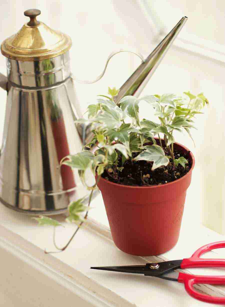 Interiors 6 - Hakata Good Pro ></a>
<script language=JavaScript> 
  var txt = 