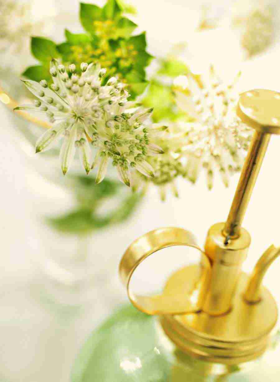 Interiors 6 - Hakata Good Pro ></a>
<script language=JavaScript> 
  var txt = 