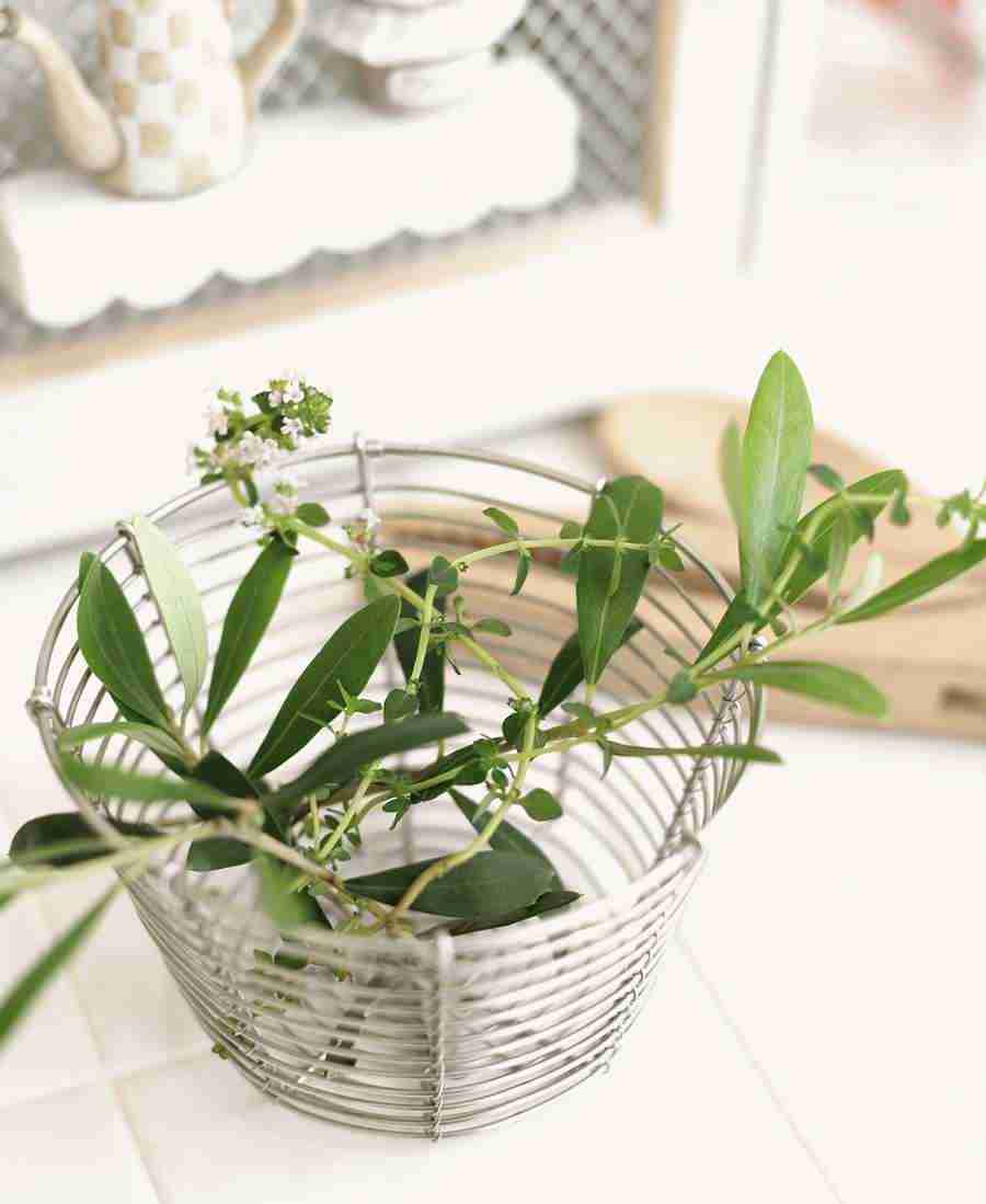 Interiors 8 - Hakata Good Pro ></a>
<script language=JavaScript> 
  var txt = 