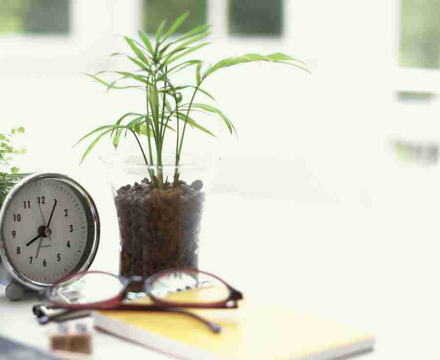 Interiors 8 - Hakata Good Pro ></a>
<script language=JavaScript> 
  var txt = 