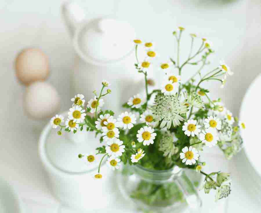 Interiors 8 - Hakata Good Pro ></a>
<script language=JavaScript> 
  var txt = 