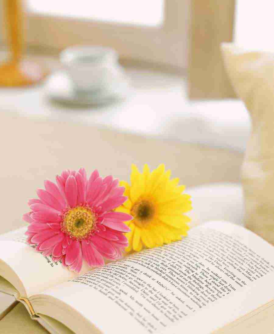 Interiors 8 - Hakata Good Pro ></a>
<script language=JavaScript> 
  var txt = 