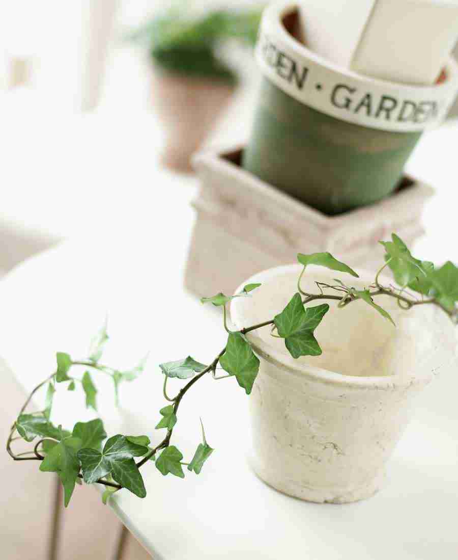 Interiors 8 - Hakata Good Pro ></a>
<script language=JavaScript> 
  var txt = 