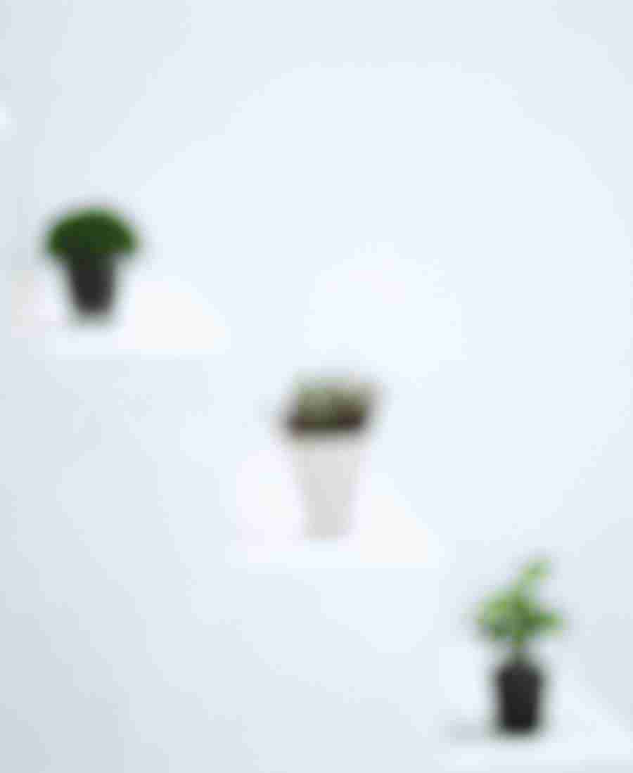 Interiors 8 - Hakata Good Pro ></a>
<script language=JavaScript> 
  var txt = 