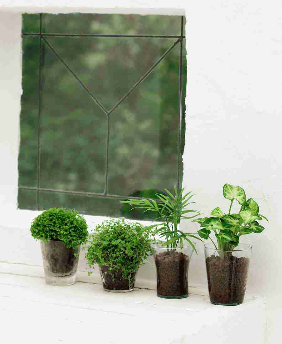 Interiors 8 - Hakata Good Pro ></a>
<script language=JavaScript> 
  var txt = 