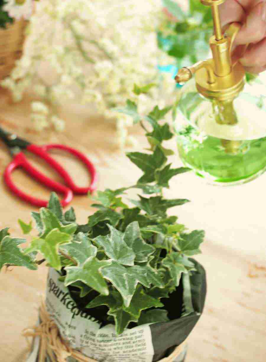 Interiors 8 - Hakata Good Pro ></a>
<script language=JavaScript> 
  var txt = 