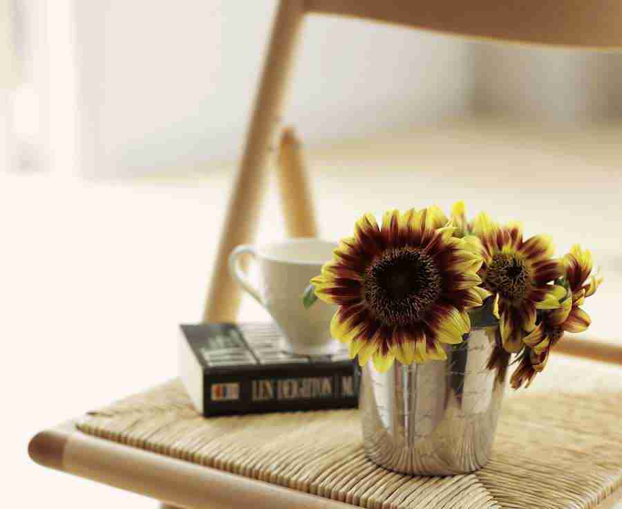 Interiors 8 - Hakata Good Pro ></a>
<script language=JavaScript> 
  var txt = 