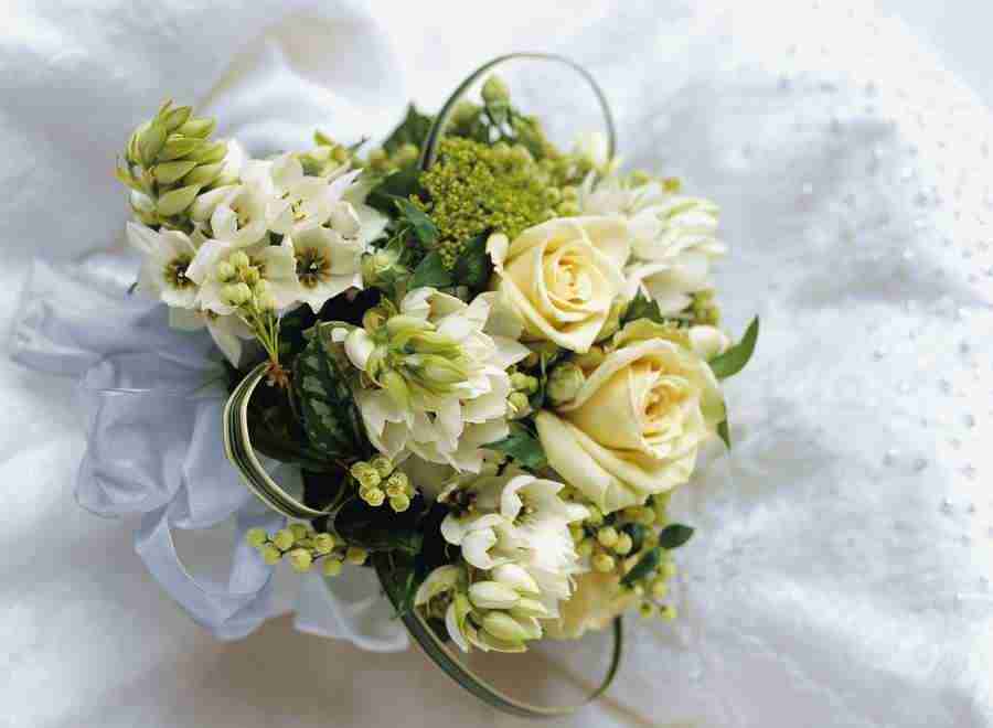 Wedding 2 - Hakata Good Pro ></a>
<script language=JavaScript> 
  var txt = 
