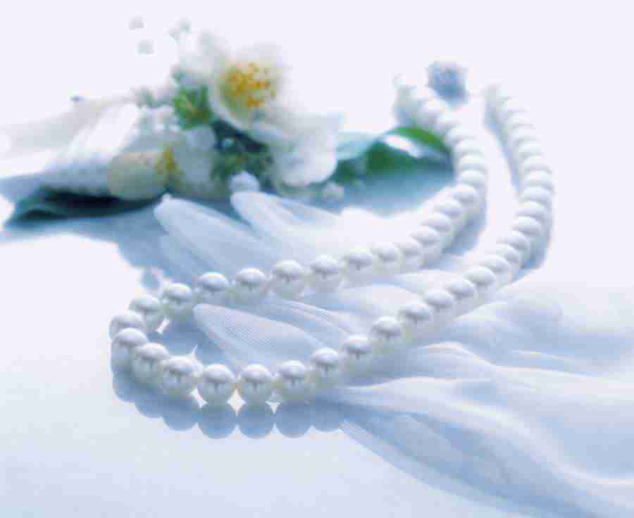 Wedding 2 - Hakata Good Pro ></a>
<script language=JavaScript> 
  var txt = 