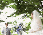 Hakata Good Pro: Wedding 4 