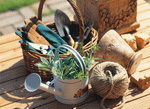 Hakata Good Pro No Sozai: Gardening 2 
