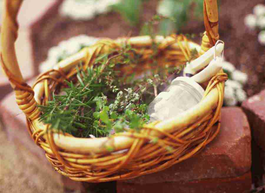 Gardening 2 - Hakata Good Pro No Sozai ></a>
<script language=JavaScript> 
  var txt = 