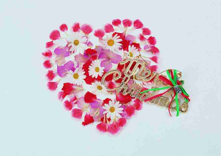 Christmas - ImageDJ ></a>
<script language=JavaScript> 
  var txt = 