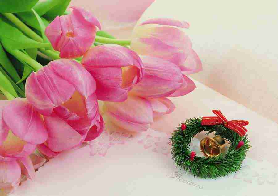 Christmas - ImageDJ ></a>
<script language=JavaScript> 
  var txt = 