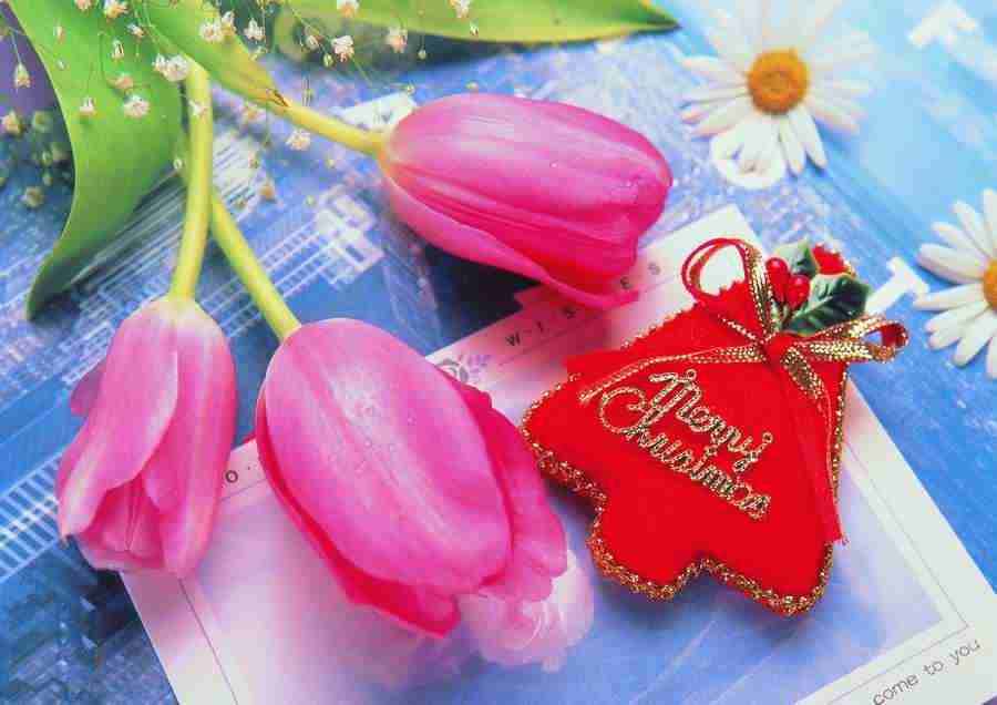Christmas - ImageDJ ></a>
<script language=JavaScript> 
  var txt = 