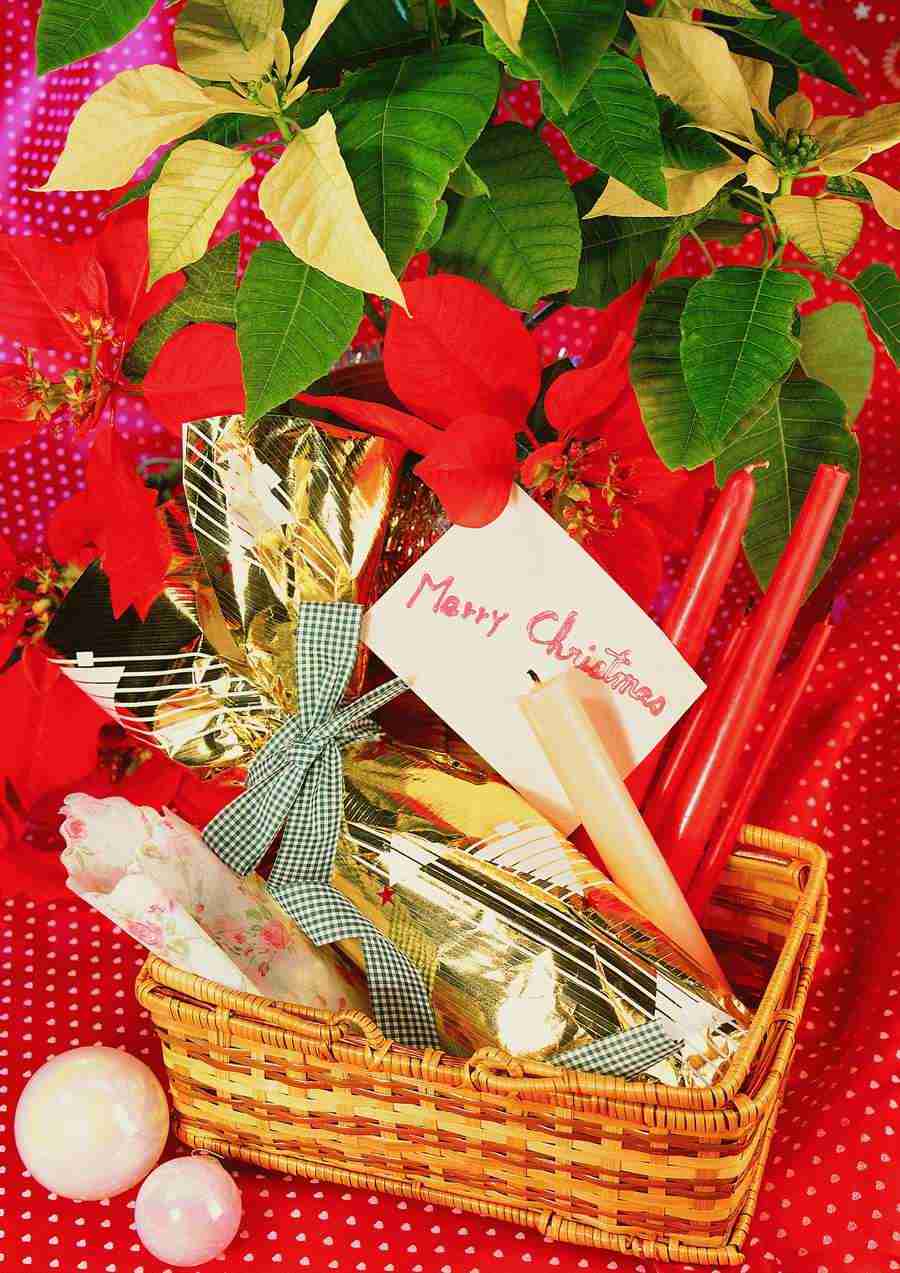 Christmas - ImageDJ ></a>
<script language=JavaScript> 
  var txt = 