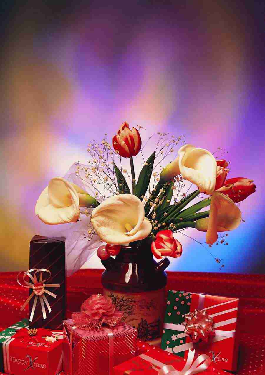 Christmas - ImageDJ ></a>
<script language=JavaScript> 
  var txt = 