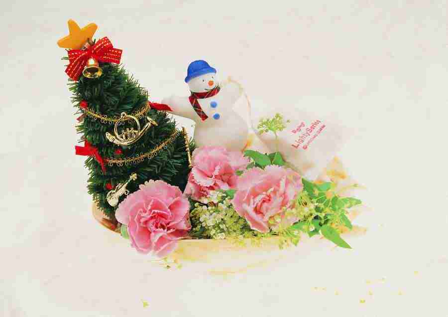 Christmas - ImageDJ ></a>
<script language=JavaScript> 
  var txt = 