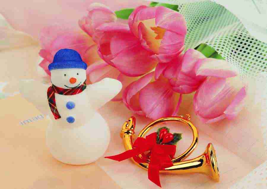 Christmas - ImageDJ ></a>
<script language=JavaScript> 
  var txt = 