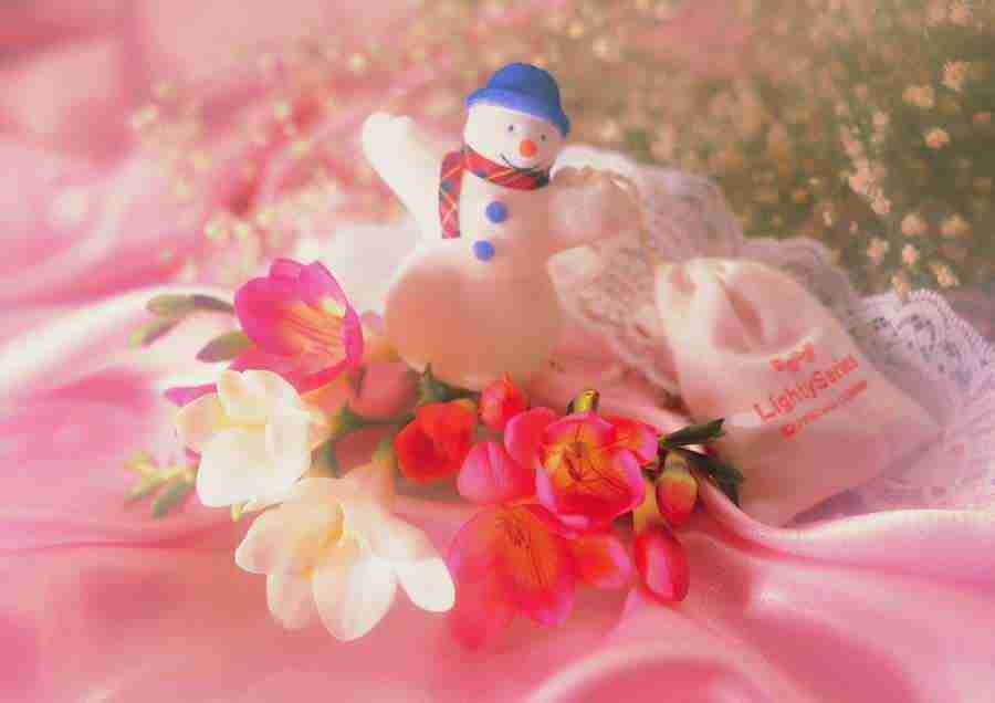 Christmas - ImageDJ ></a>
<script language=JavaScript> 
  var txt = 