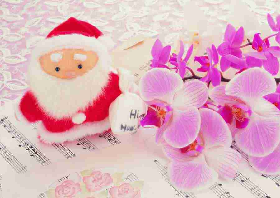 Christmas - ImageDJ ></a>
<script language=JavaScript> 
  var txt = 
