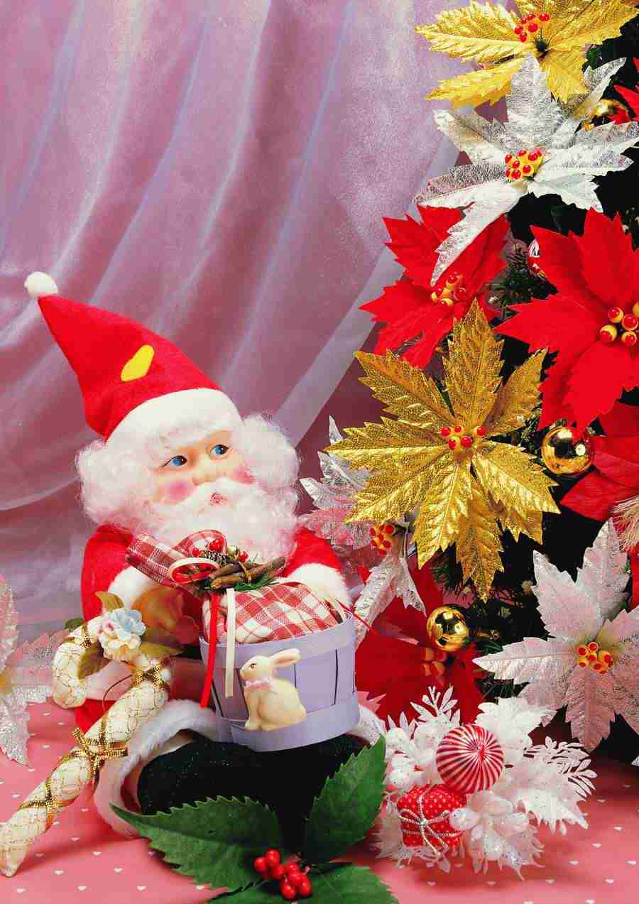 Christmas - ImageDJ ></a>
<script language=JavaScript> 
  var txt = 