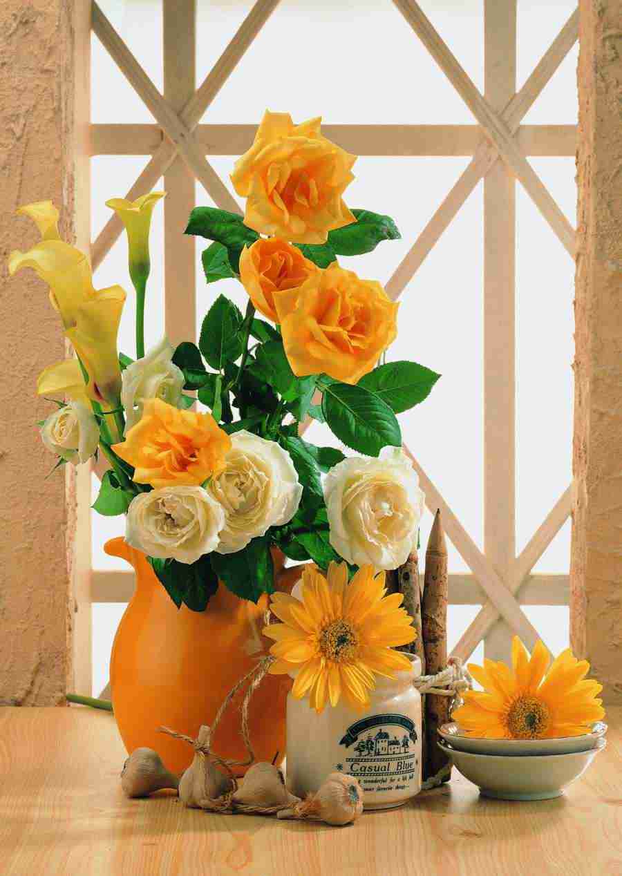 Flowers - ImageDJ ></a>
<script language=JavaScript> 
  var txt = 