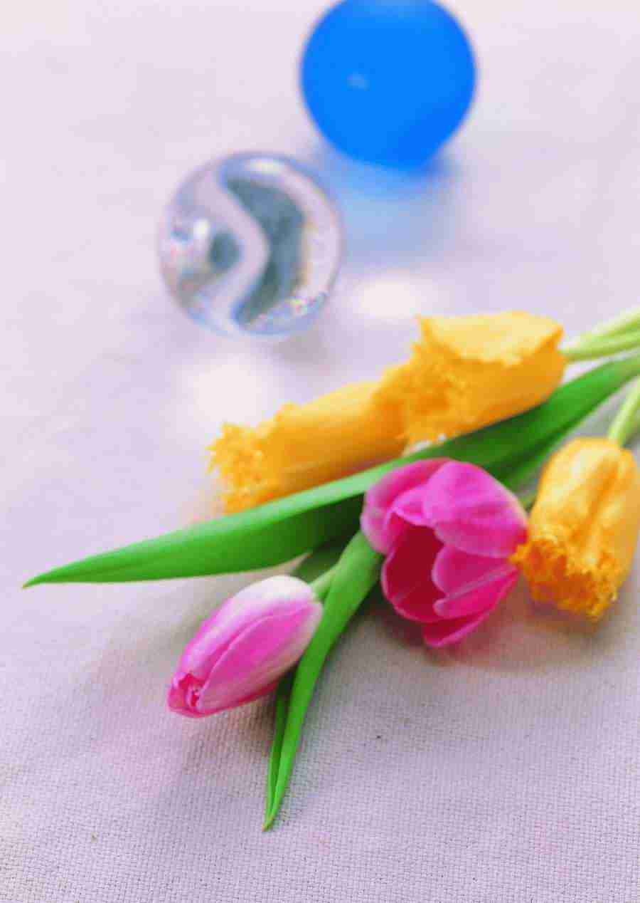 Flowers - ImageDJ ></a>
<script language=JavaScript> 
  var txt = 