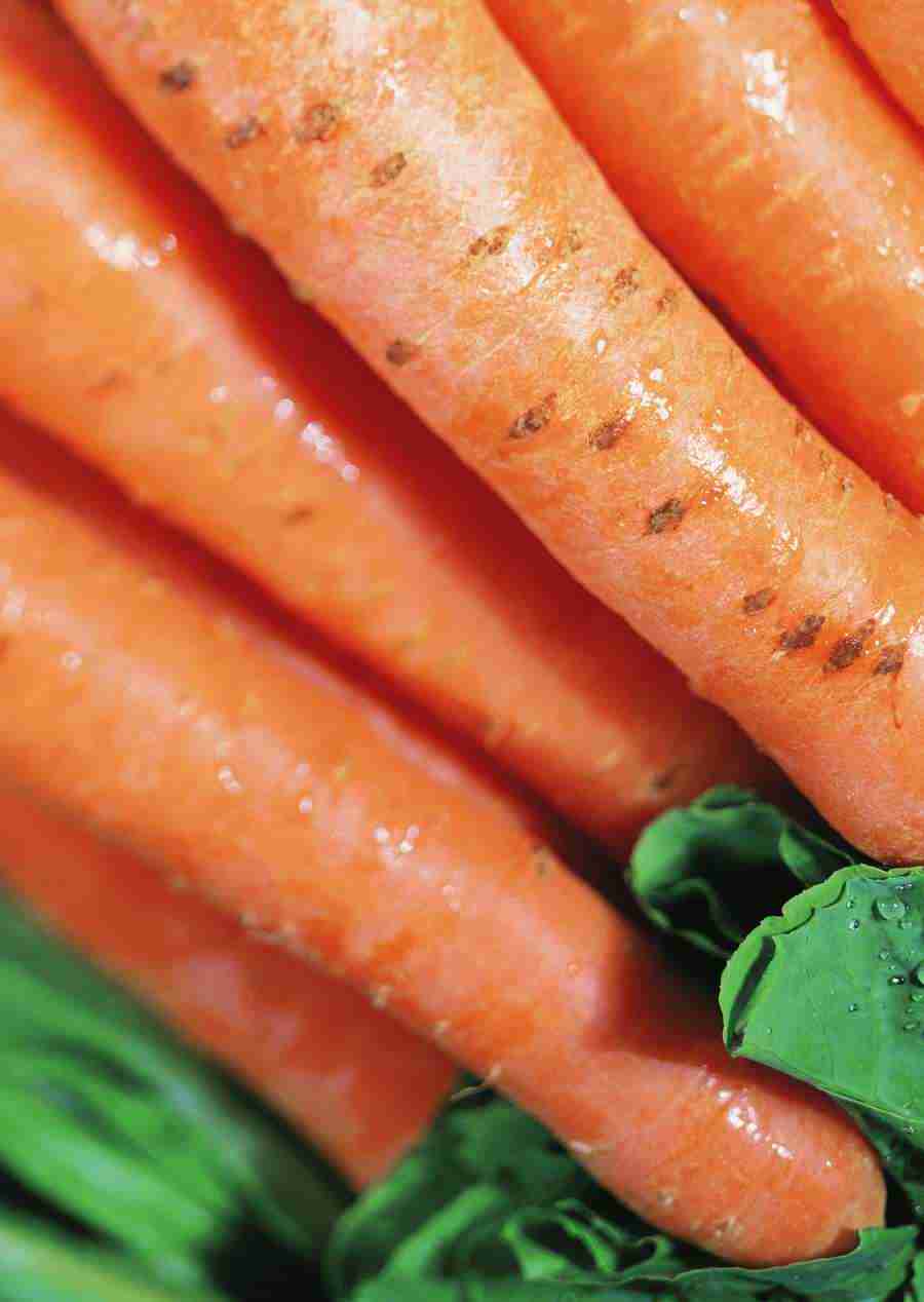 Fruits, Vegetables and Foods - ImageDJ ></a>
<script language=JavaScript> 
  var txt = 