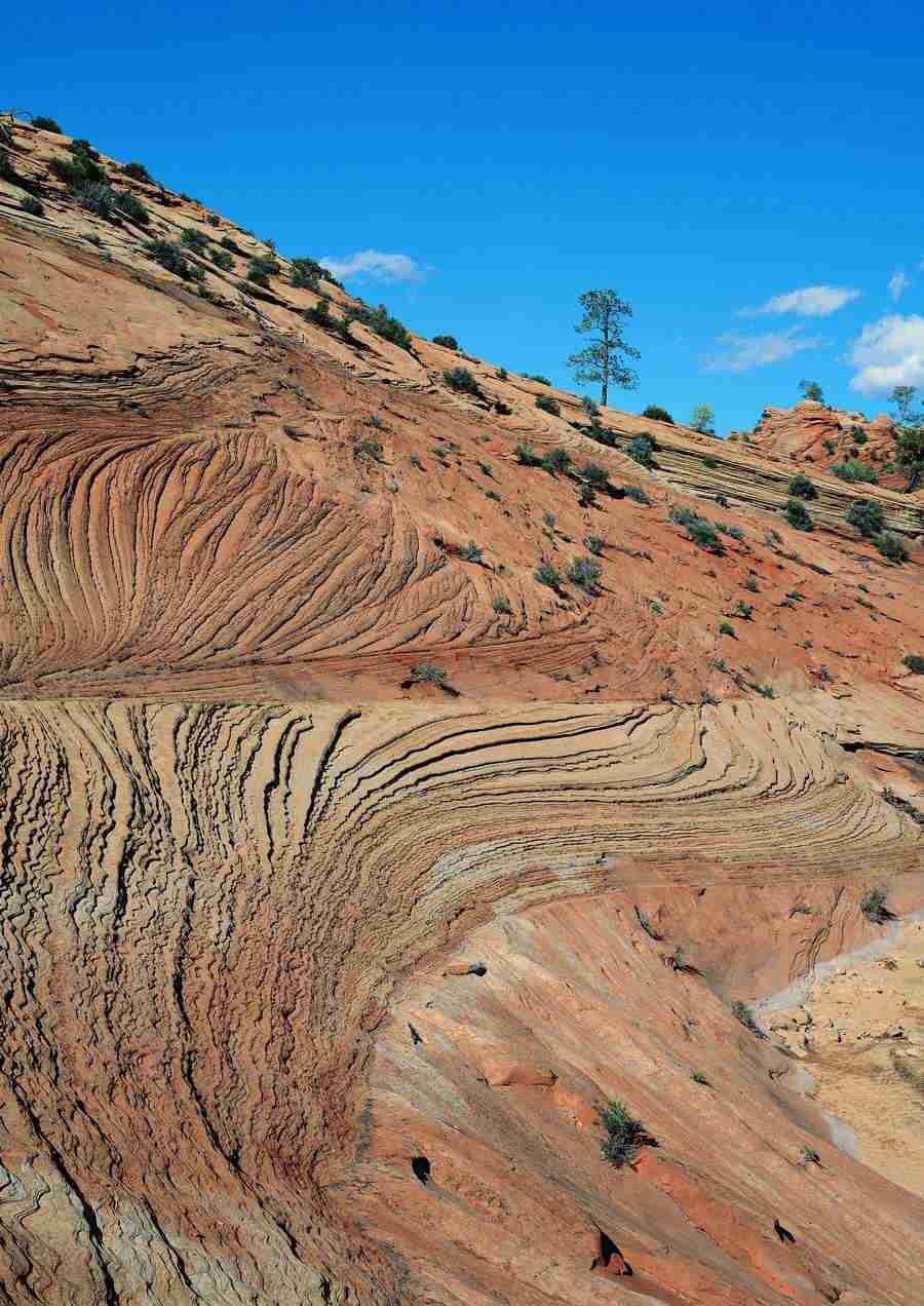 Landscapes - ImageDJ ></a>
<script language=JavaScript> 
  var txt = 