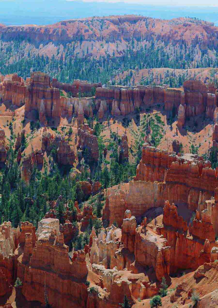 Landscapes - ImageDJ ></a>
<script language=JavaScript> 
  var txt = 