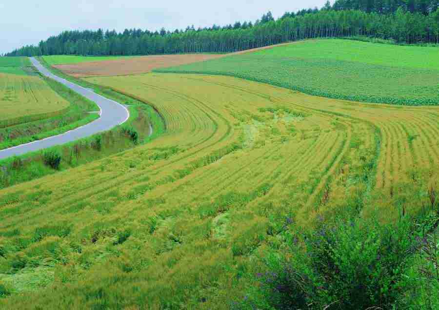 Landscapes - ImageDJ ></a>
<script language=JavaScript> 
  var txt = 