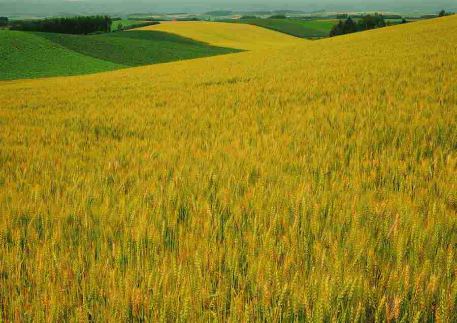 Landscapes - ImageDJ ></a>
<script language=JavaScript> 
  var txt = 