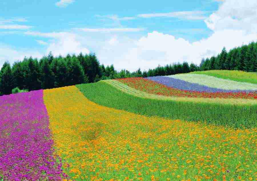 Landscapes - ImageDJ ></a>
<script language=JavaScript> 
  var txt = 