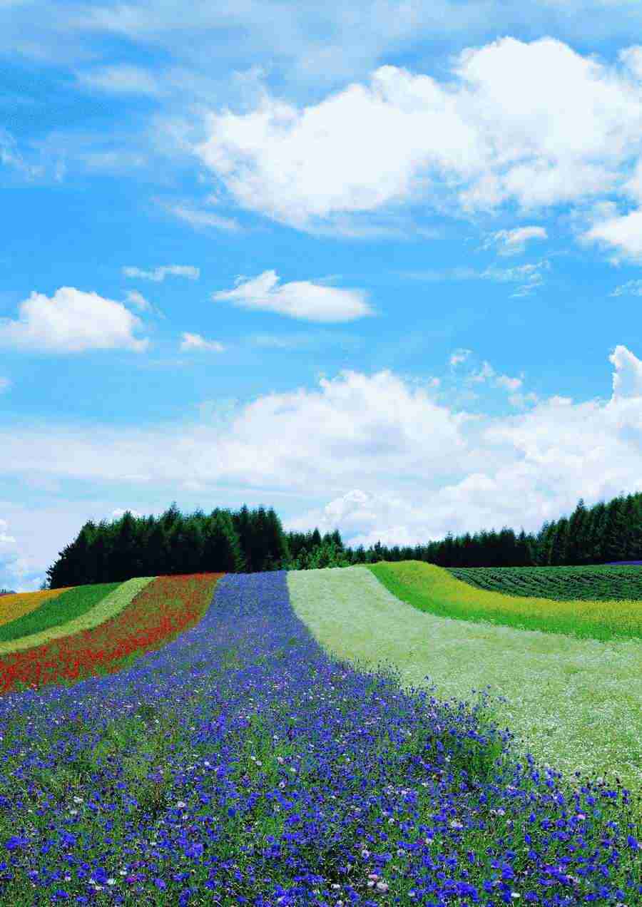 Landscapes - ImageDJ ></a>
<script language=JavaScript> 
  var txt = 