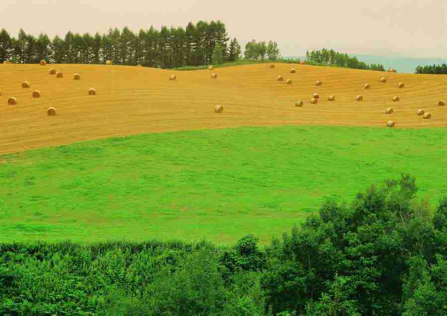 Landscapes - ImageDJ ></a>
<script language=JavaScript> 
  var txt = 