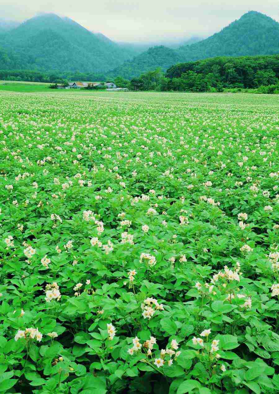 Landscapes - ImageDJ ></a>
<script language=JavaScript> 
  var txt = 