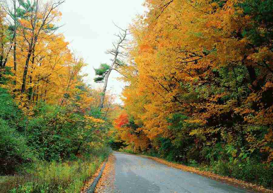 Landscapes - ImageDJ ></a>
<script language=JavaScript> 
  var txt = 