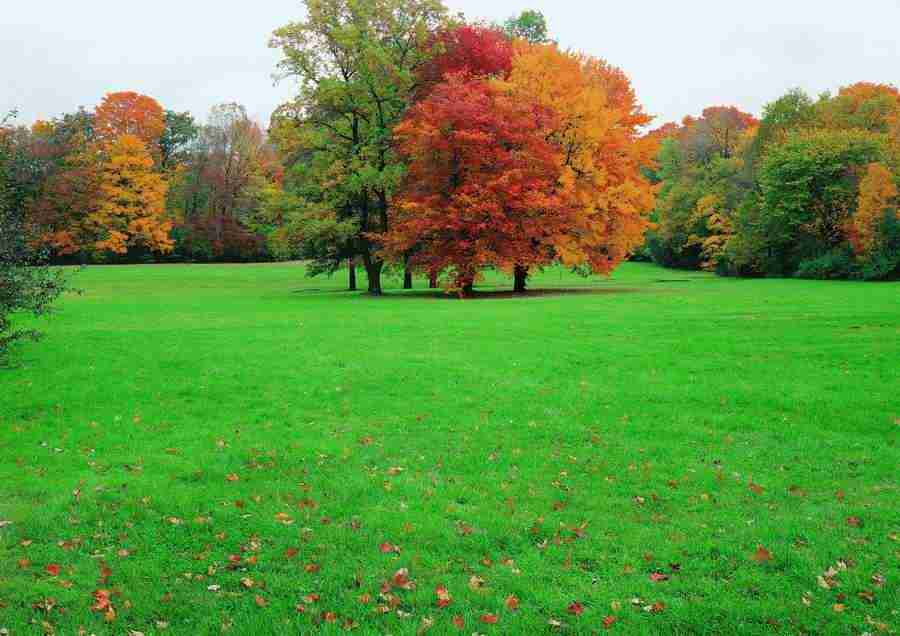 Landscapes - ImageDJ ></a>
<script language=JavaScript> 
  var txt = 