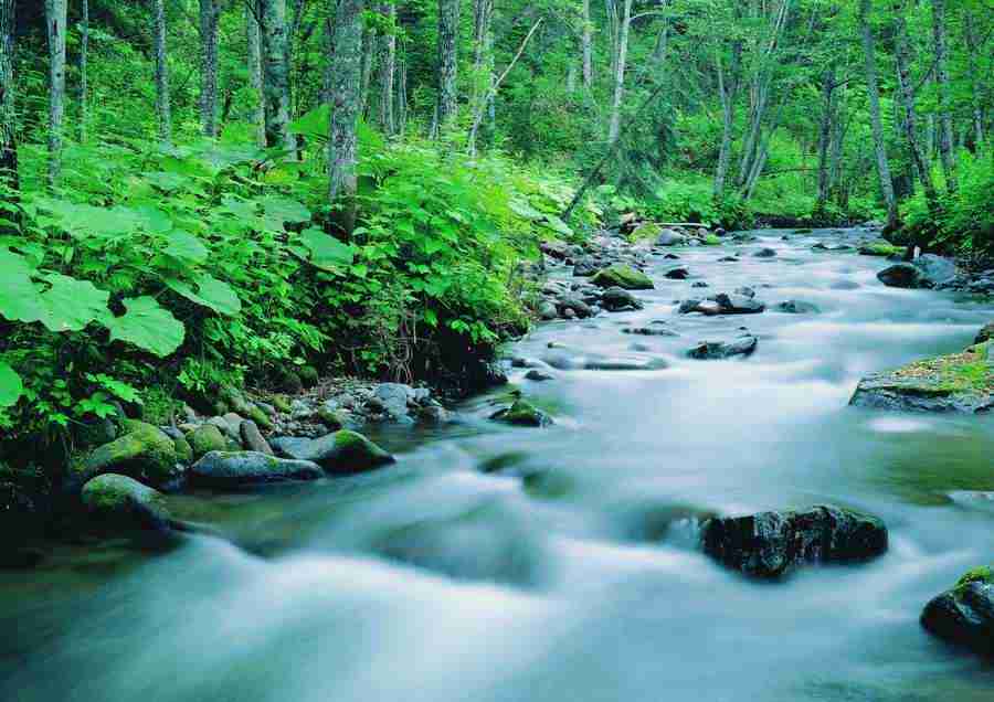 Landscapes - ImageDJ ></a>
<script language=JavaScript> 
  var txt = 