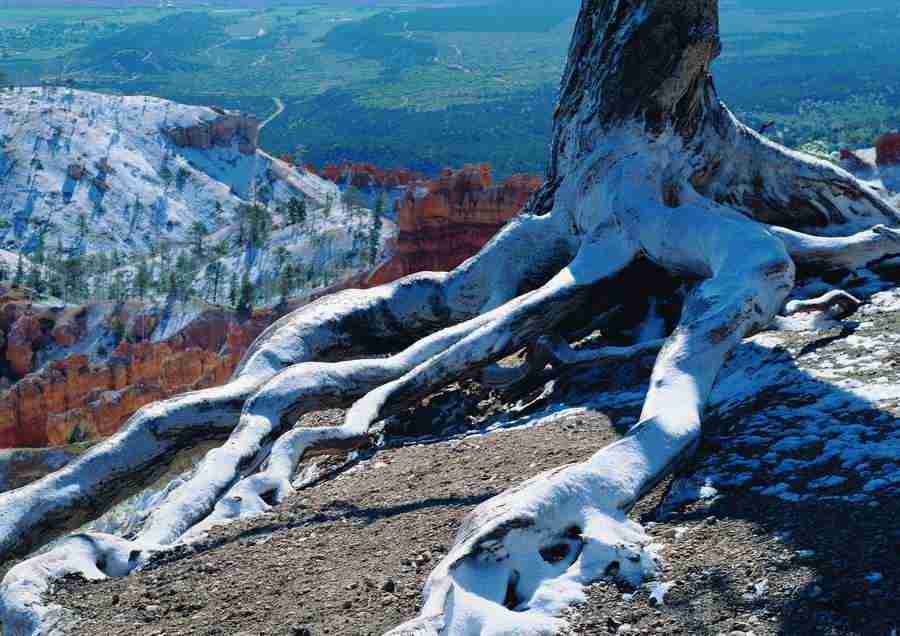 Landscapes - ImageDJ ></a>
<script language=JavaScript> 
  var txt = 