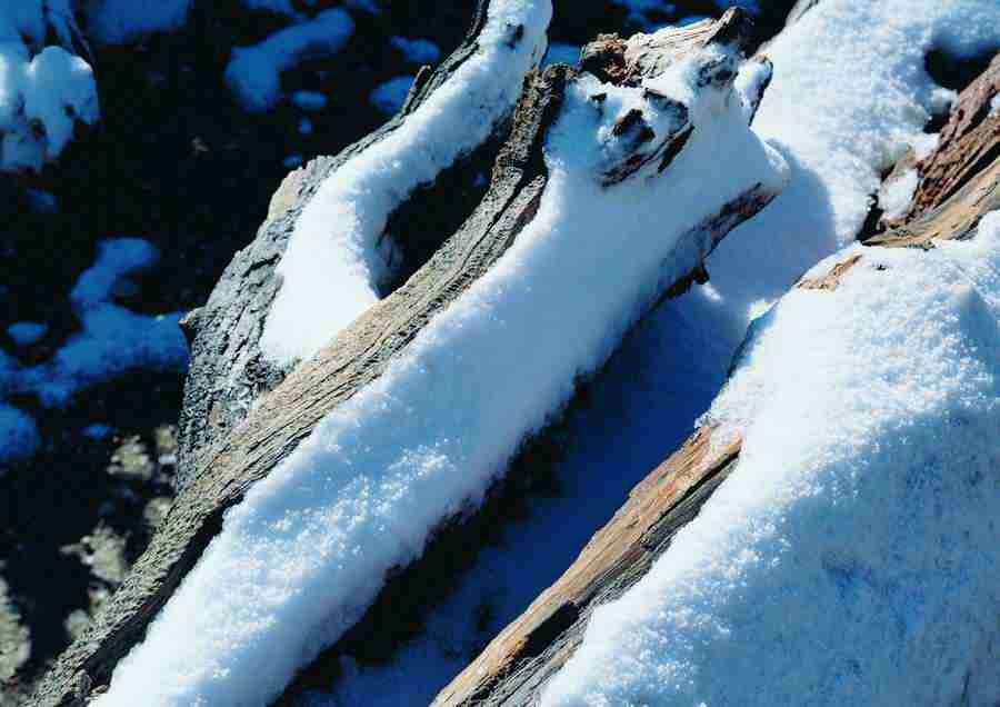 Landscapes - ImageDJ ></a>
<script language=JavaScript> 
  var txt = 